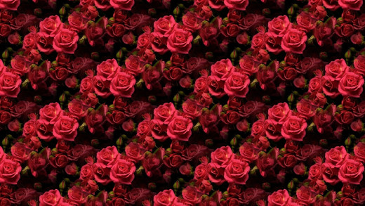 1332847 (a): :1920x1080
